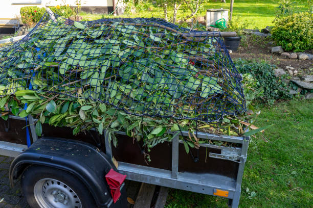 Best Shed Removal  in North Webster, IN
